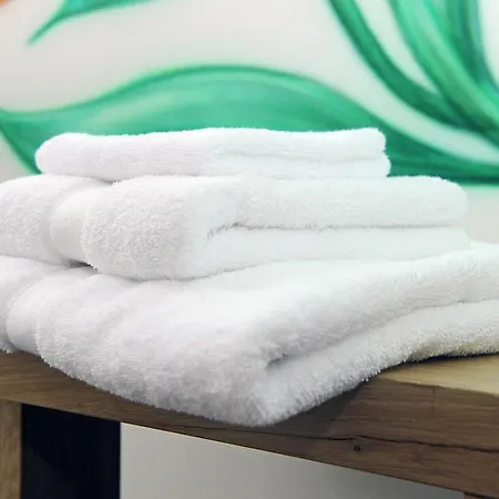 Bed and breakfast Als Het Golft 4*